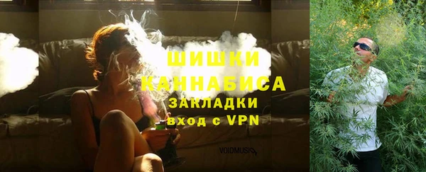 бошки Бородино