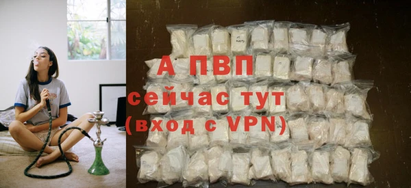 бошки Бородино