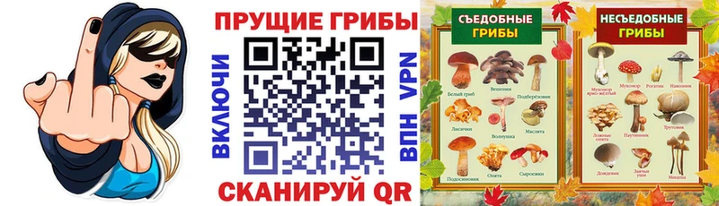 MEGA ONION  Северо-Курильск  Псилоцибиновые грибы Cubensis 